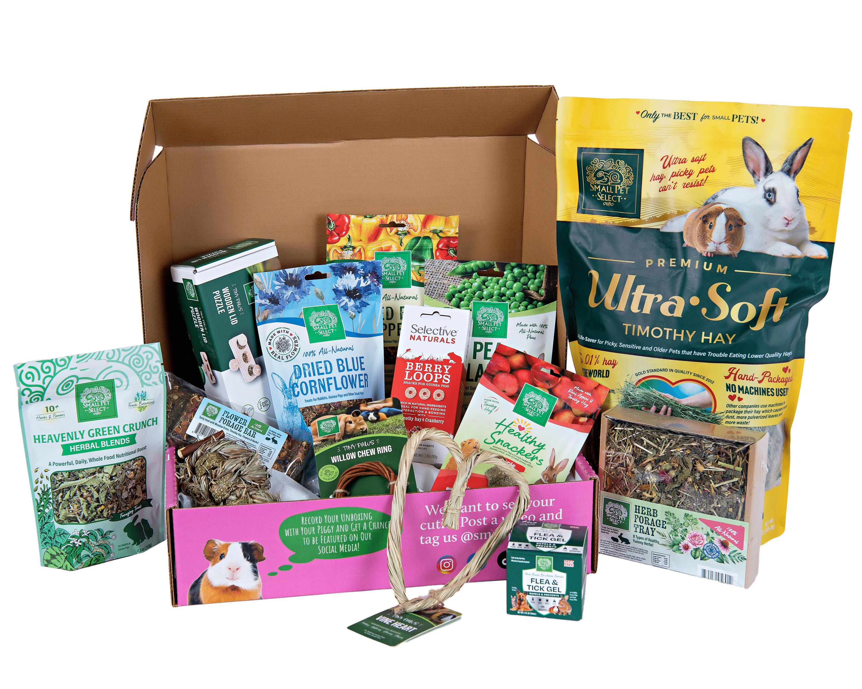 The Bunny Box